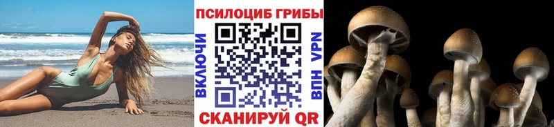 Псилоцибиновые грибы MAGIC MUSHROOMS  блэк спрут маркетплейс  Новоульяновск  дарнет шоп 