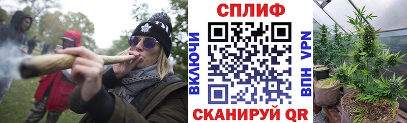 продажа наркотиков Новоульяновск МАРИХУАНА конопля